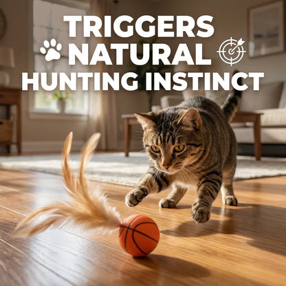 【6 Pieces】Interactive Cat Toy Feather Bounce Ball Self Play Hunting Instinct Toy for Indoor Cats Keep Cats Active Reduce Boredom Anxiety Kitten Exercise Toy Lightweight Durable Cat Enrichment Toy 6 Pack Cat Toys for Indoor Cats Kitten Play Activity Home