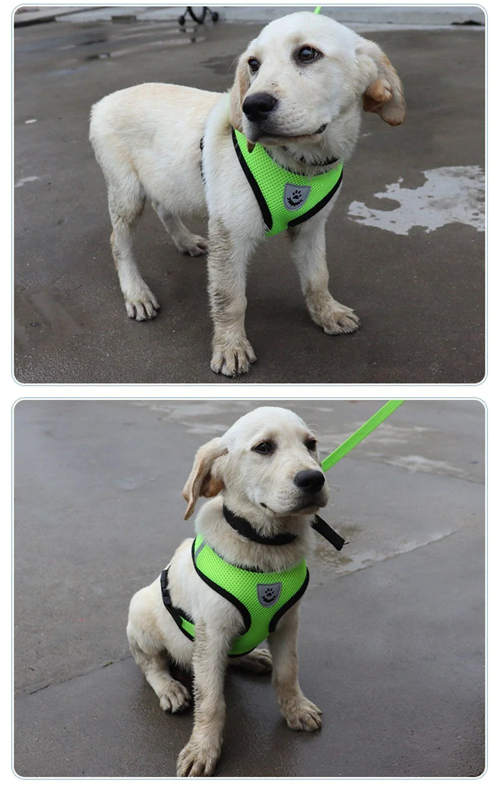 Comfort Pet Harness Vest – Reflective Fit