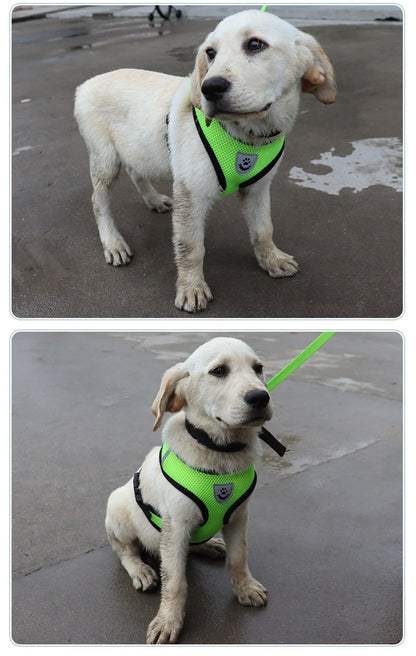 Comfort Pet Harness Vest – Reflective Fit
