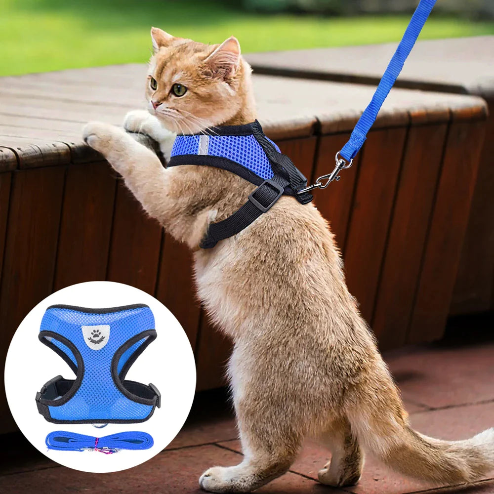 Comfort Pet Harness Vest – Reflective Fit