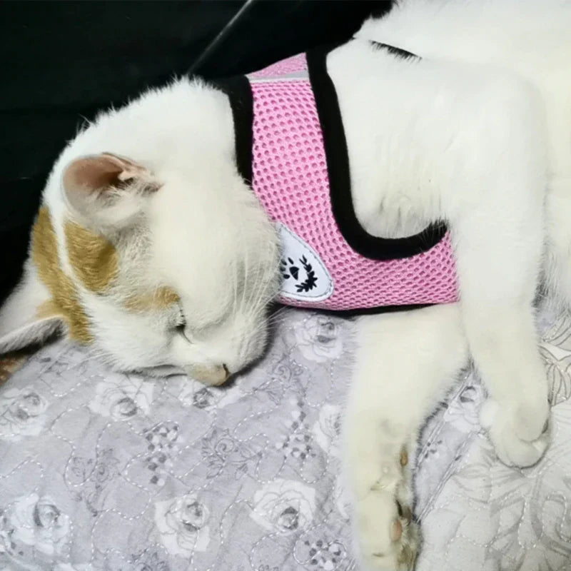 Comfort Pet Harness Vest – Reflective Fit