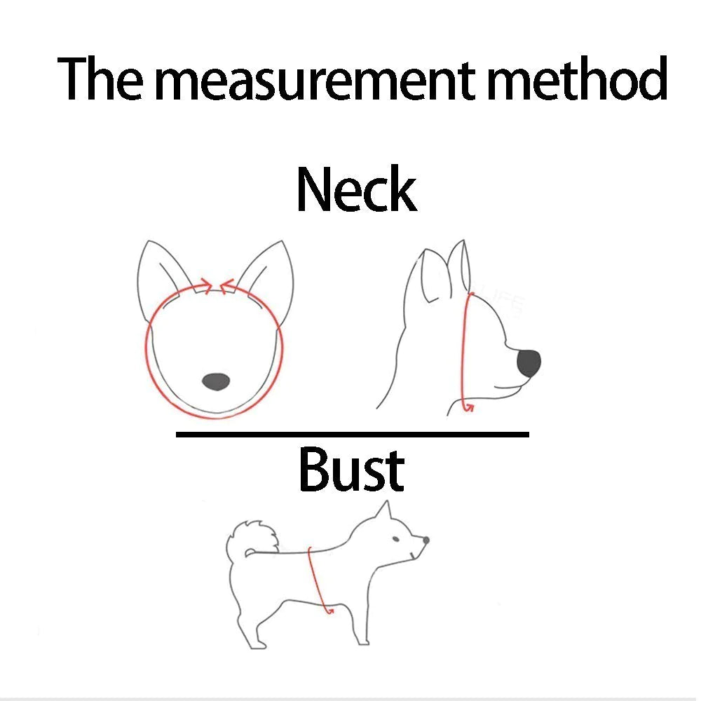 Comfort Pet Harness Vest – Reflective Fit