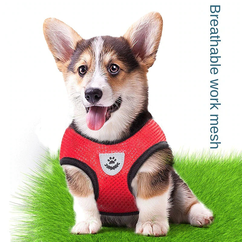 Comfort Pet Harness Vest – Reflective Fit