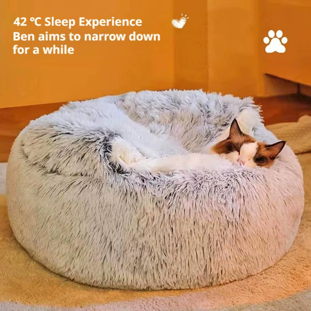 Cozy Enclosed Cat Bed – Soft & Secure